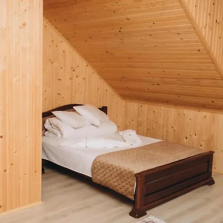 Hotel Holi Day Solotvyno