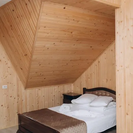 Hotel Holi Day Solotvyno